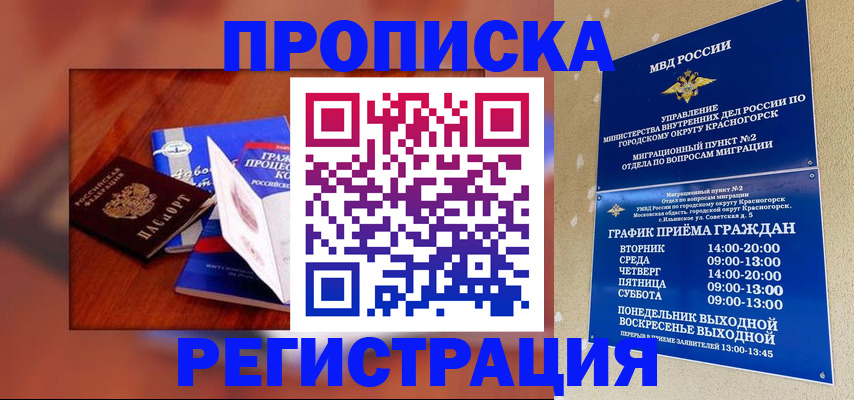 временная регистрация для школы в Новгородской области